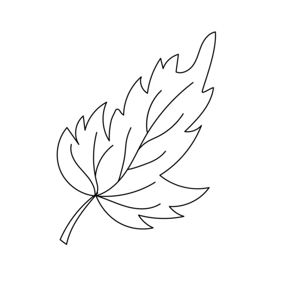 Hoja Otoño Estilo Lineal Orgánica Hoja Árbol Natural Esquema Aislado — Vector de stock