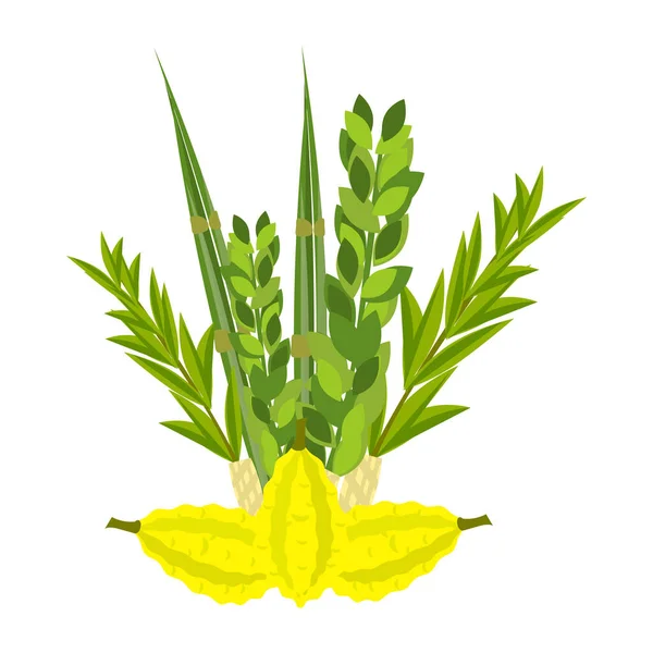Festival juif de Souccot symboles traditionnels judaïsme religion festival agrumes saule vecteur illustration . — Image vectorielle