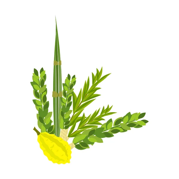 Judisk festival av Sukkot traditionella symboler judendomen religion festival citrus willow vektorillustration. — Stock vektor