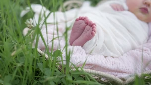 Bebé recién nacido duerme — Vídeos de Stock