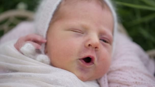 Newborn baby sleeps close up — Stock Video