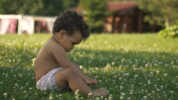 Glad Afro-American liten flicka lära sig gå på det gröna gräset — Stockvideo