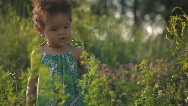 Beau enfant afro-américain dans l'herbe verte sur la nature — Video