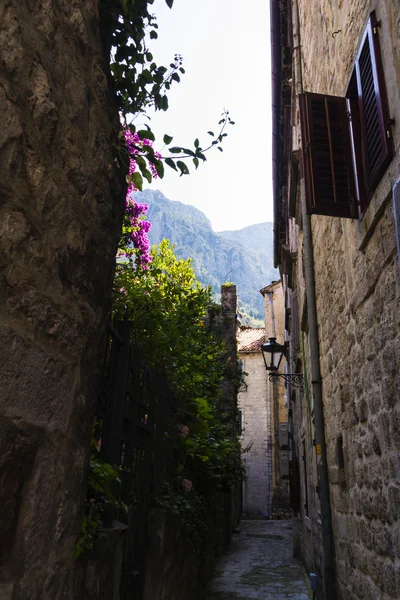 Ensoleillé Monténégro - un pays du sud de l'Europe — Photo