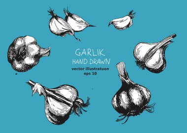 Toplama el sarımsaklı'nın çizilmiş resimler.