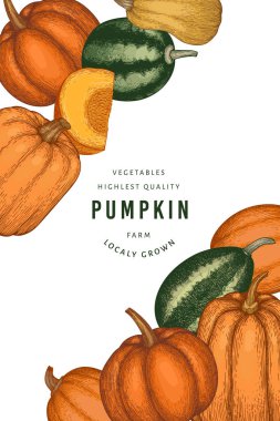 Kabak rengi tasarım şablonu. Vektör el çizimleri. Balkabağı hasadıyla geçmişe dönük Şükran Günü arkaplanı. Sonbahar arkaplanı.