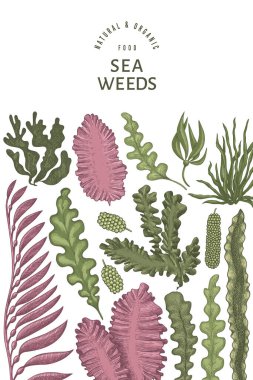 Deniz yosunu tasarım şablonu. El çizimi vektör yosunları çizim yapar. İşlenmiş stil deniz ürünleri afişi. Retro deniz bitkileri arka planı