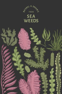Deniz yosunu tasarım şablonu. El çizimi vektör yosunları çizim yapar. İşlenmiş stil deniz ürünleri afişi. Retro deniz bitkileri arka planı