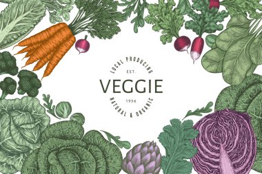 El yapımı renkli sebze tasarımı. Organik taze besin taşıyıcı afiş şablonu. Retro sebze arka planı. Geleneksel botanik çizimler.
