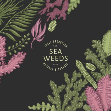 Yosun rengi tasarım şablonu. El çizimi vektör yosunları koyu arkaplanda çizimler yapar. İşlenmiş stil deniz ürünleri afişi. Retro deniz bitkileri arka planı