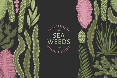 Yosun rengi tasarım şablonu. El çizimi vektör yosunları koyu arkaplanda çizimler yapar. İşlenmiş stil deniz ürünleri afişi. Retro deniz bitkileri arka planı