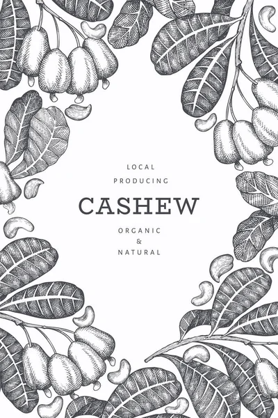 Handgezeichnete Skizze Cashew Design Vorlage Organische Vektordarstellung Auf Weißem Hintergrund — Stockvektor