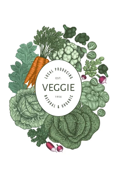 手绘古色蔬菜的设计 有机新鲜食品载体模板 复古蔬菜背景 传统植物学图解 — 图库矢量图片