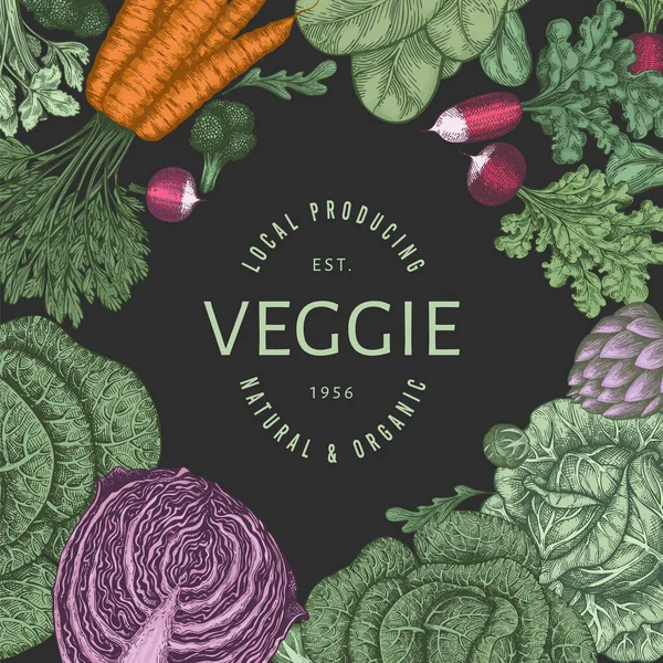 Diseño Verduras Color Vintage Dibujado Mano Plantilla Banner Alimentos Frescos — Vector de stock