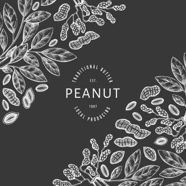 El yapımı fıstık dalı ve çekirdek dizayn şablonu. Tebeşir tahtasında organik gıda vektör çizimi. Retro fındık çizimi. İşlenmiş biçim botanik resim.