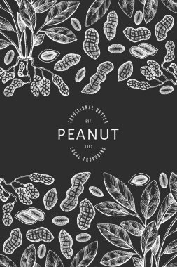 El yapımı fıstık dalı ve çekirdek dizayn şablonu. Tebeşir tahtasında organik gıda vektör çizimi. Retro fındık çizimi. İşlenmiş biçim botanik resim.