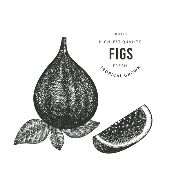 Handgezeichnete Ananas Skizzenstil Organische Vektordarstellung Für Frische Lebensmittel Isoliert Auf — Stockvektor