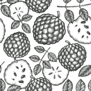 El çizimi çizimi Cherimoya kusursuz desen. Organik taze meyve vektörü çizimi. İşlenmiş biçim botanik arkaplanı
