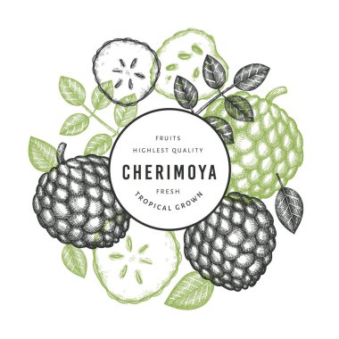 El yapımı çizim stili Cherimoya afişi. Beyaz arka planda organik taze meyve vektör çizimi. İşlenmiş stil botanik tasarım şablonu.