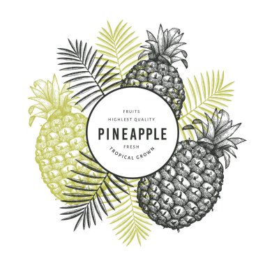 El çizimi ananas pankartı. Beyaz arka planda organik taze meyve vektör çizimi. İşlenmiş stil botanik tasarım şablonu.