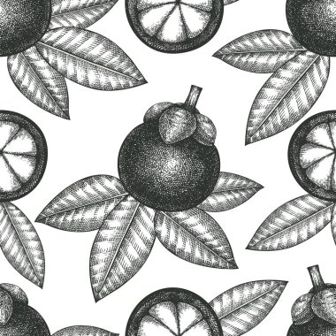 El çizimi taslak, mangoseronlu, pürüzsüz desen. Organik taze gıda vektör çizimi. Retro meyve arkaplanı.