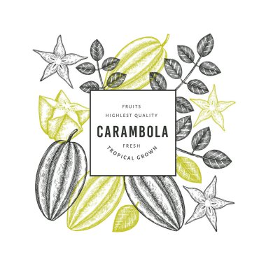 Elle çizilmiş eskiz tarzı Carambola afişi. Organik taze meyve vektörü çizimi. Retro meyve tasarım şablonu