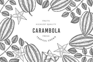 Elle çizilmiş eskiz tarzı Carambola afişi. Organik taze meyve vektörü çizimi. Retro meyve tasarım şablonu