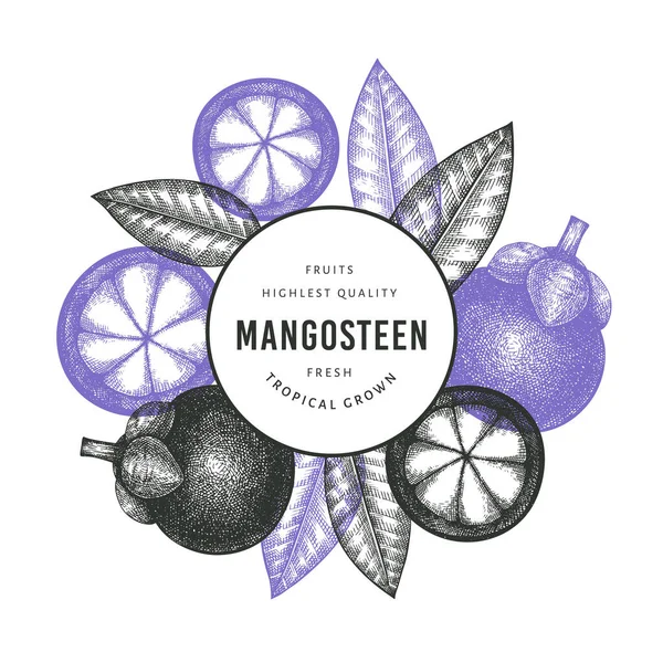 Hand Drawn Sketch Style Mangosteen Design Template Organic Fresh Food — Stock Vector