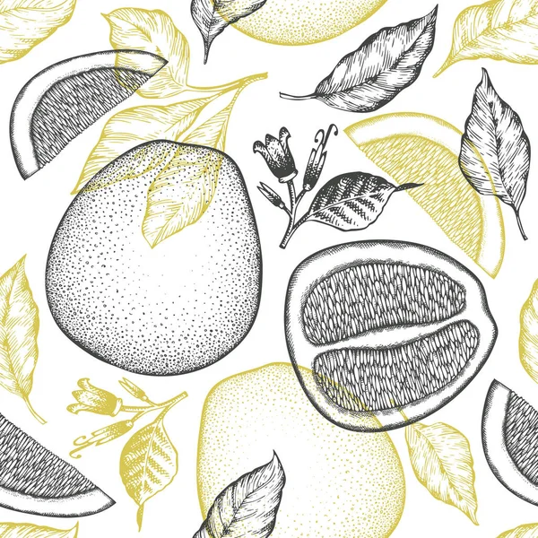 Kézzel Rajzolt Vázlat Stílusú Pomelo Zökkenőmentes Minta Organikus Friss Gyümölcs — Stock Vector