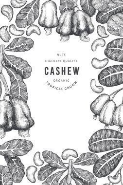 El çizimi kaju tasarım şablonu. Beyaz arka planda organik gıda vektör illüstrasyonu. Klasik fındık çizimi. İşlenmiş biçim botanik arkaplanı.