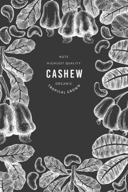 El çizimi kaju tasarım şablonu. Tebeşir tahtasında organik gıda vektör çizimi. Klasik fındık çizimi. İşlenmiş biçim botanik arkaplanı.