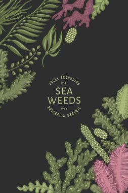 Yosun rengi tasarım şablonu. El çizimi vektör yosunları koyu arkaplanda çizimler yapar. İşlenmiş stil deniz ürünleri afişi. Retro deniz bitkileri arka planı