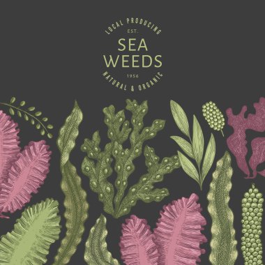 Yosun rengi tasarım şablonu. El çizimi vektör yosunları koyu arkaplanda çizimler yapar. İşlenmiş stil deniz ürünleri afişi. Retro deniz bitkileri arka planı