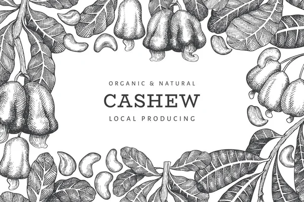 Handgezeichnete Skizze Cashew Design Vorlage Organische Vektordarstellung Auf Weißem Hintergrund — Stockvektor