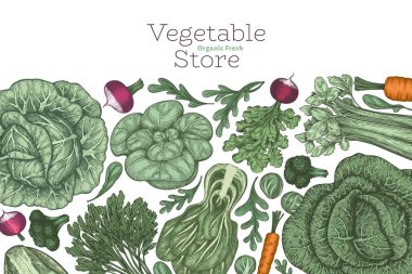 El yapımı renkli sebze tasarımı. Organik taze besin taşıyıcı afiş şablonu. Retro sebze arka planı. Geleneksel botanik çizimler.