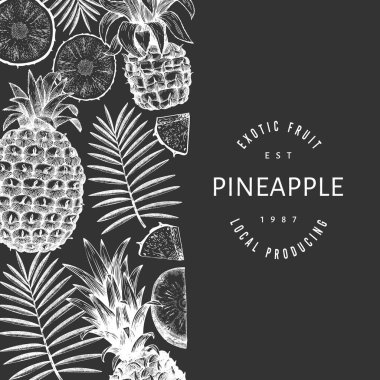 El çizimi ananas pankartı. Tebeşir tahtasında organik taze meyve vektör çizimi. Botanik tasarım şablonu.