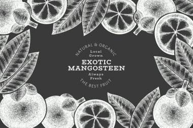 El çizimi mangosteen tasarım şablonu. Tebeşir tahtasında organik taze gıda vektör çizimi. Retro meyve pankartı.