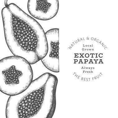 El çizimi papaya afişi. Organik taze meyve vektörü çizimi. Retro meyve tasarım şablonu