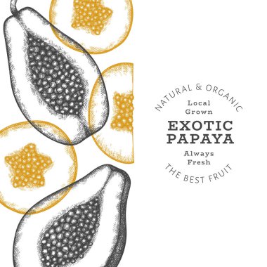 El çizimi papaya afişi. Organik taze meyve vektörü çizimi. Retro meyve tasarım şablonu