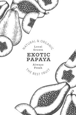 El çizimi papaya afişi. Organik taze meyve vektörü çizimi. Retro meyve tasarım şablonu