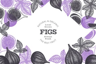 El çizimi incir meyvesi tasarım şablonu. Organik taze gıda vektör çizimi. Retro incir meyve pankartı.