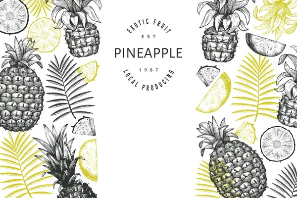 Hand Drawn Sketch Style Pineapple Banner Organic Fresh Fruit Vector — Stock Vector