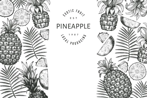 Hand Drawn Sketch Style Pineapple Banner Organic Fresh Fruit Vector — Stock Vector