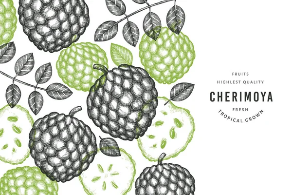 Χειροποίητο Έμβλημα Στυλ Σκετς Cherimoya Βιολογική Απεικόνιση Φορέων Νωπών Φρούτων — Διανυσματικό Αρχείο