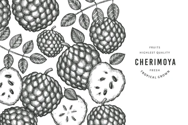 Χειροποίητο Έμβλημα Στυλ Σκετς Cherimoya Βιολογική Απεικόνιση Φορέων Νωπών Φρούτων — Διανυσματικό Αρχείο