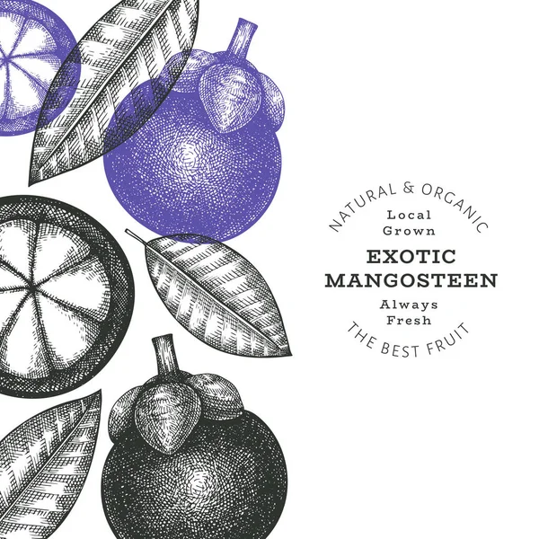 Ręcznie Rysowane Szkic Styl Mangosteen Wzór Projektu Organiczny Świeży Wektor — Wektor stockowy