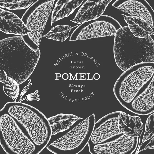 Handgezeichnetes Pomelo Banner Skizzenstil Organische Vektorillustration Für Frisches Obst Auf — Stockvektor