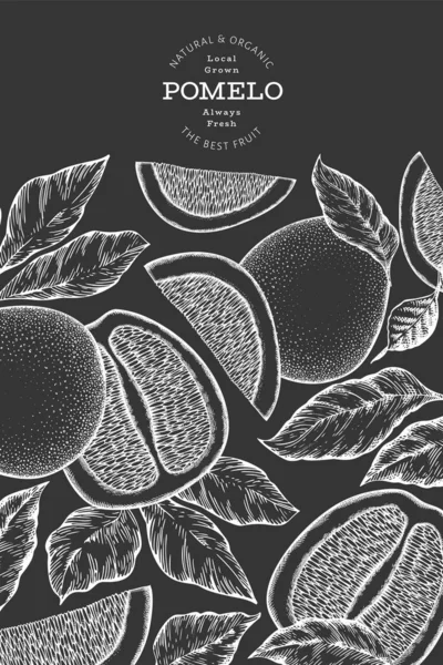 Bannière Pomelo Dessinée Main Illustration Vectorielle Fruits Frais Bio Sur — Image vectorielle
