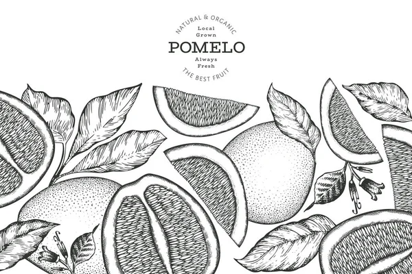 Bannière Pomelo Dessinée Main Illustration Vectorielle Fruits Frais Biologiques Modèle — Image vectorielle