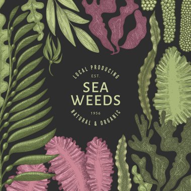 Yosun rengi tasarım şablonu. El çizimi vektör yosunları koyu arkaplanda çizimler yapar. İşlenmiş stil deniz ürünleri afişi. Retro deniz bitkileri arka planı